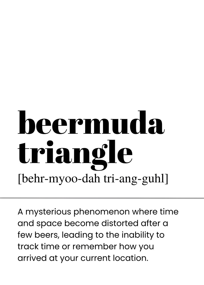Alternative view of BEERMUDA TRIANGLE BAR AND DRINKS DICTIONARY POSTER
