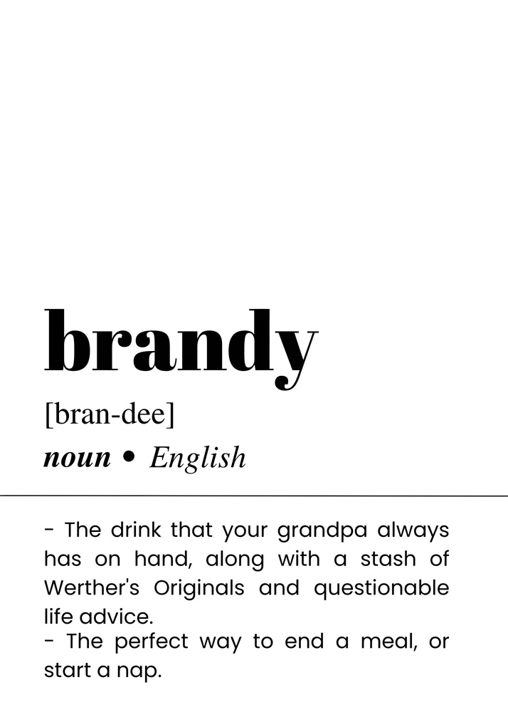 Alternative view of BRANDY BAR AND DRINKS DICTIONARY POSTER