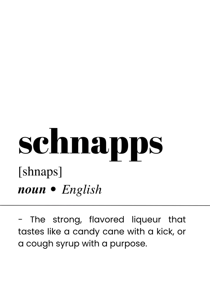 Alternative view of SCHNAPPS BAR AND DRINKS DICTIONARY POSTER
